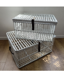 Manden